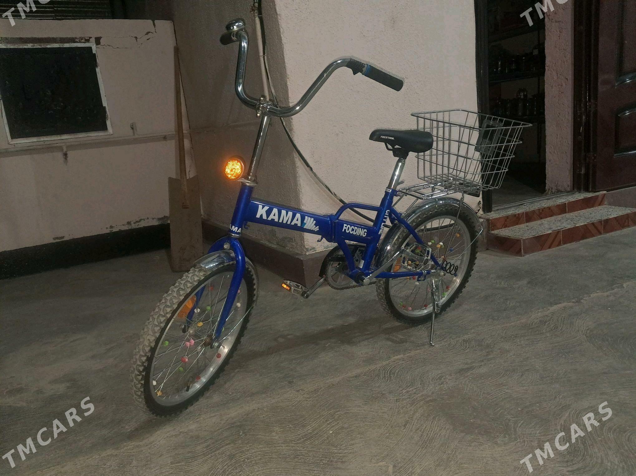 tigir kama - Bagyr - img 2