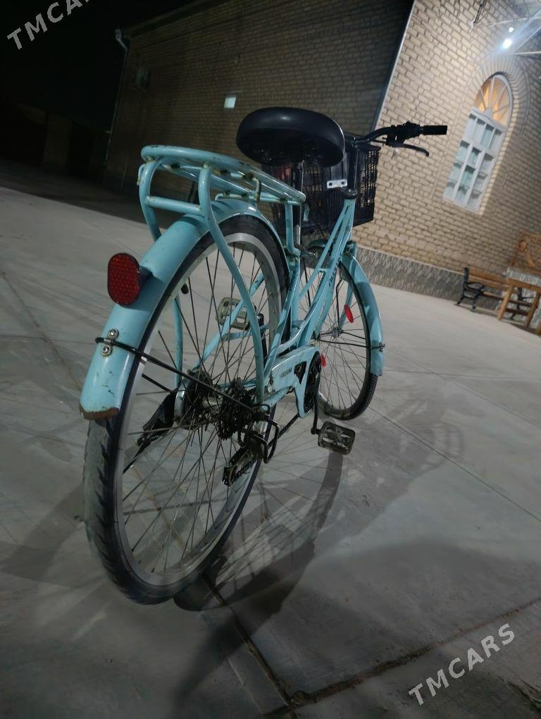 Welik 26 - Сакарчага - img 2