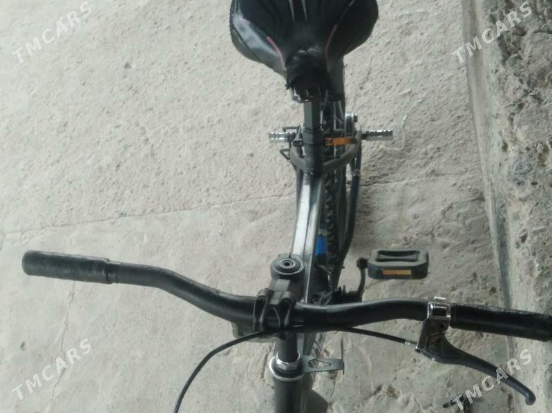 tigir - Gökje - img 3