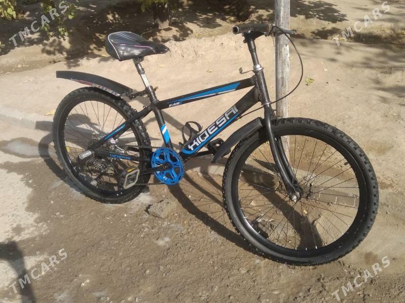 tigir - Gökje - img 2