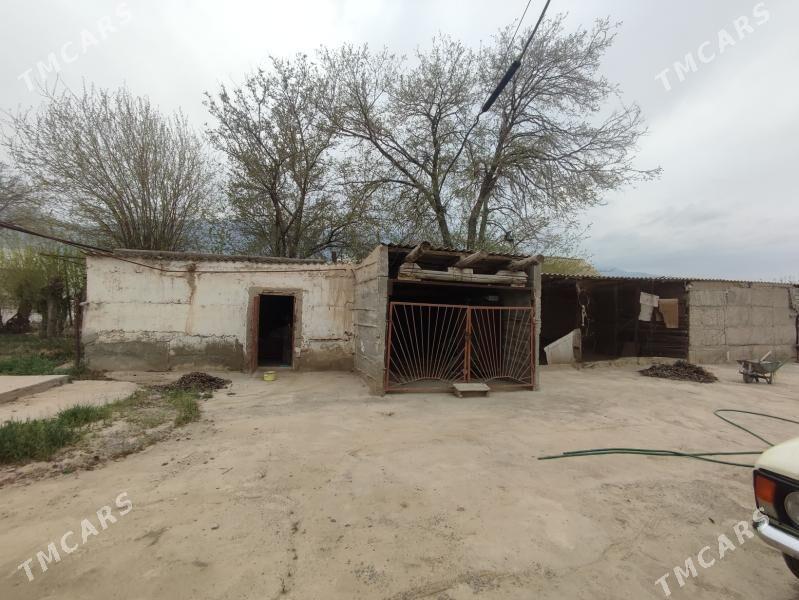 Jaý - Гёкдепе - img 4