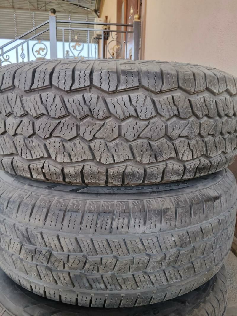 Diska 3 000 TMT - Mary - img 3