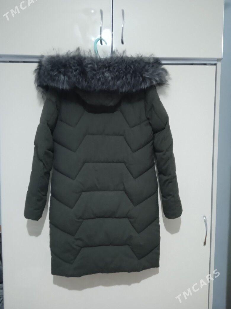 Kurtka - Daşoguz - img 2