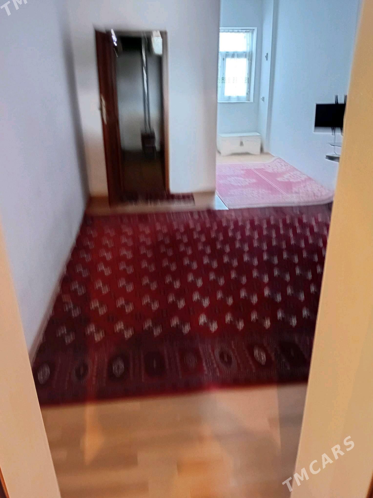 satlyk jay - Кака - img 8