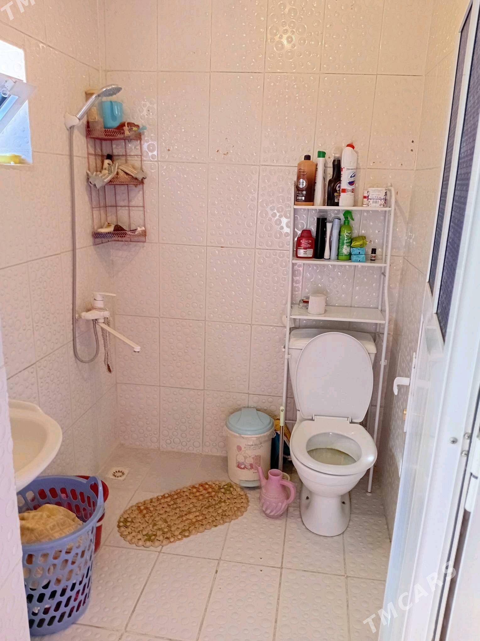 satlyk jay - Кака - img 5