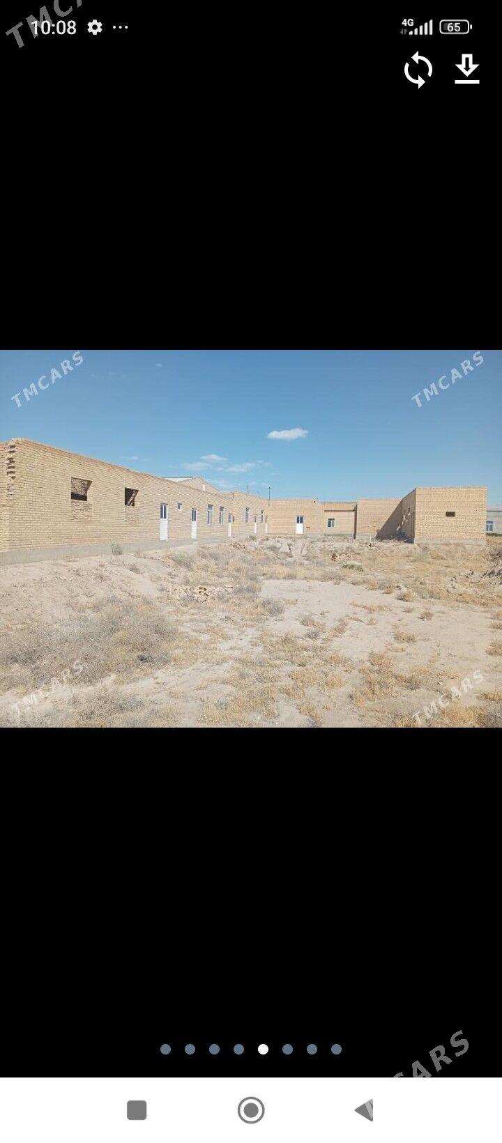 Mellek jaŷ - Türkmenabat - img 5