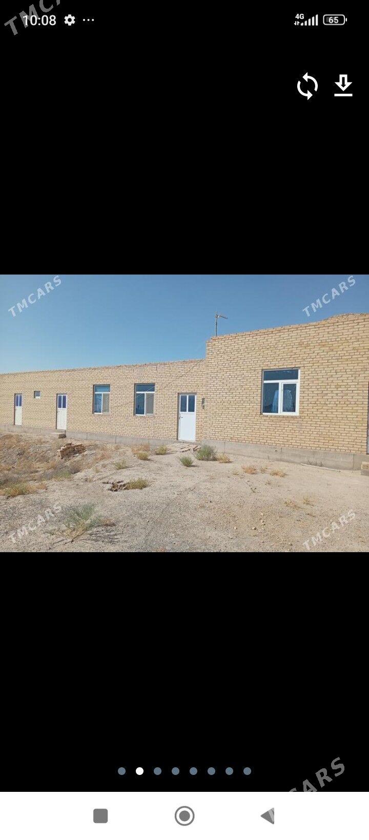 Mellek jaŷ - Türkmenabat - img 2