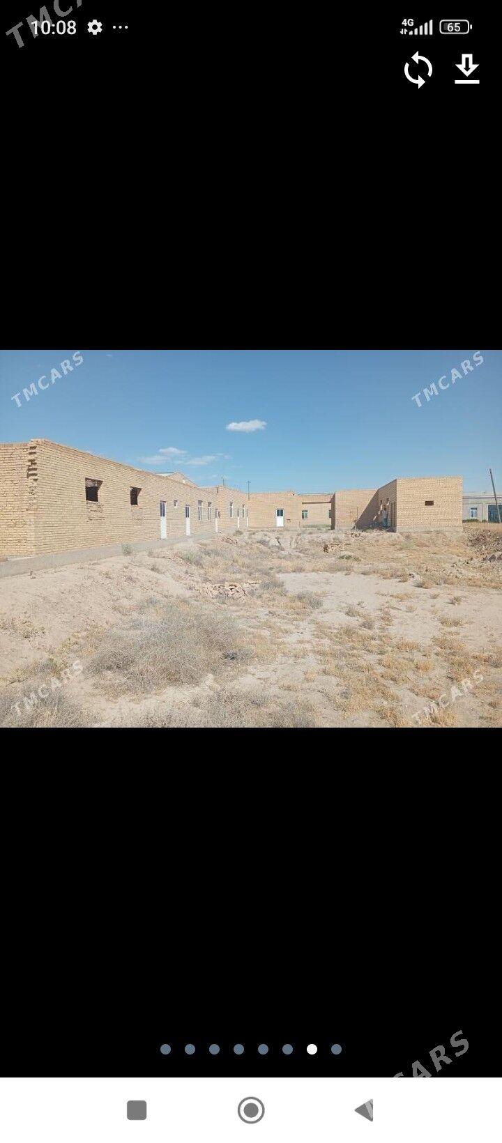 Mellek jaŷ - Türkmenabat - img 7