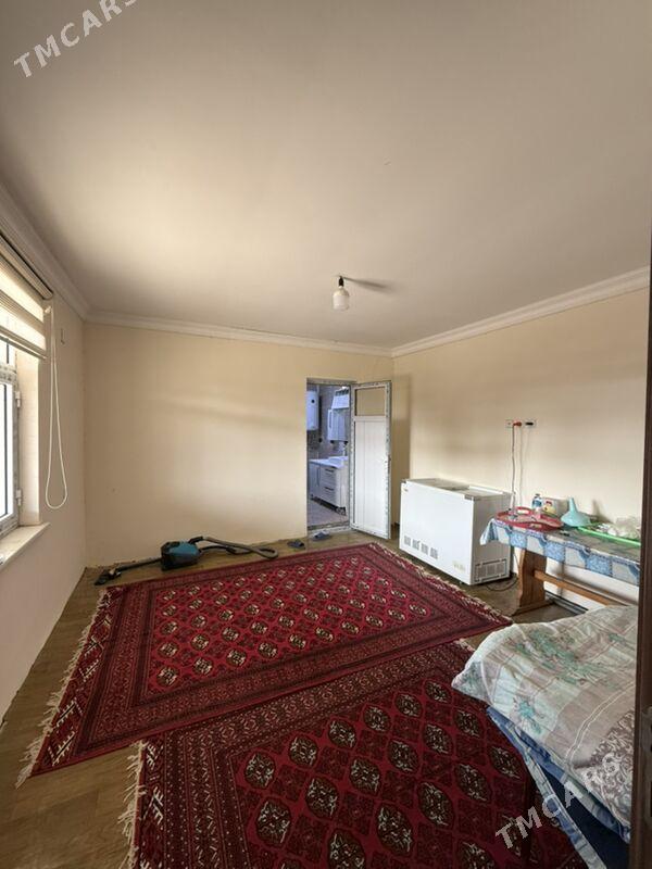 Anew geolog Daca - Ak bugdaý etraby - img 4