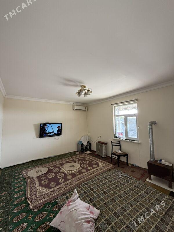 Anew geolog Daca - Ak bugdaý etraby - img 3