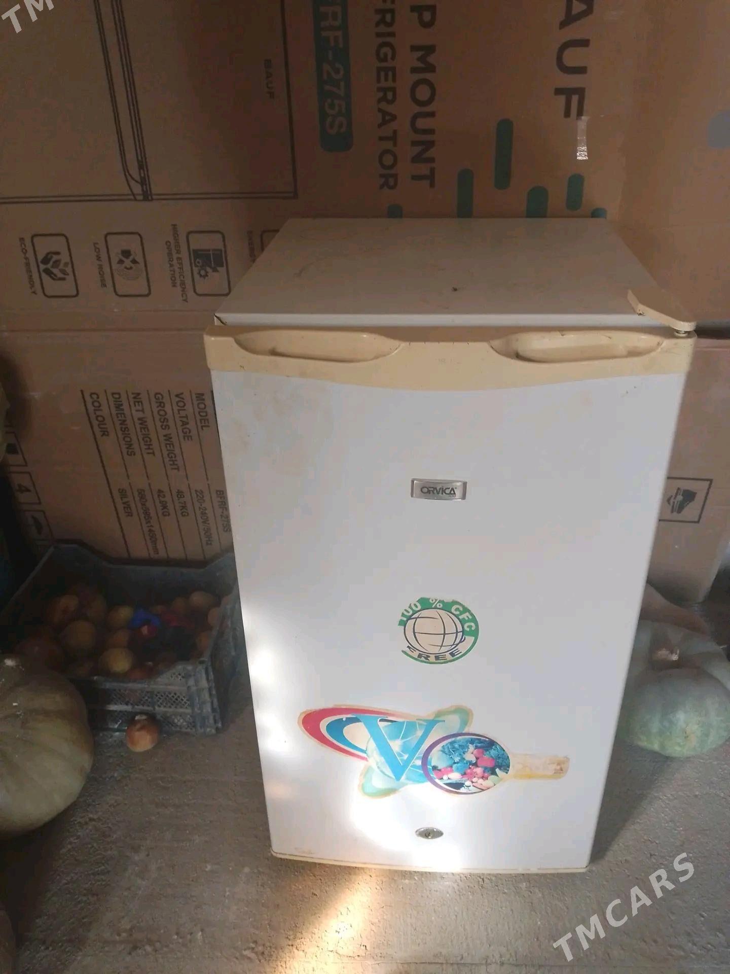 haladilnik - Köneürgenç - img 2