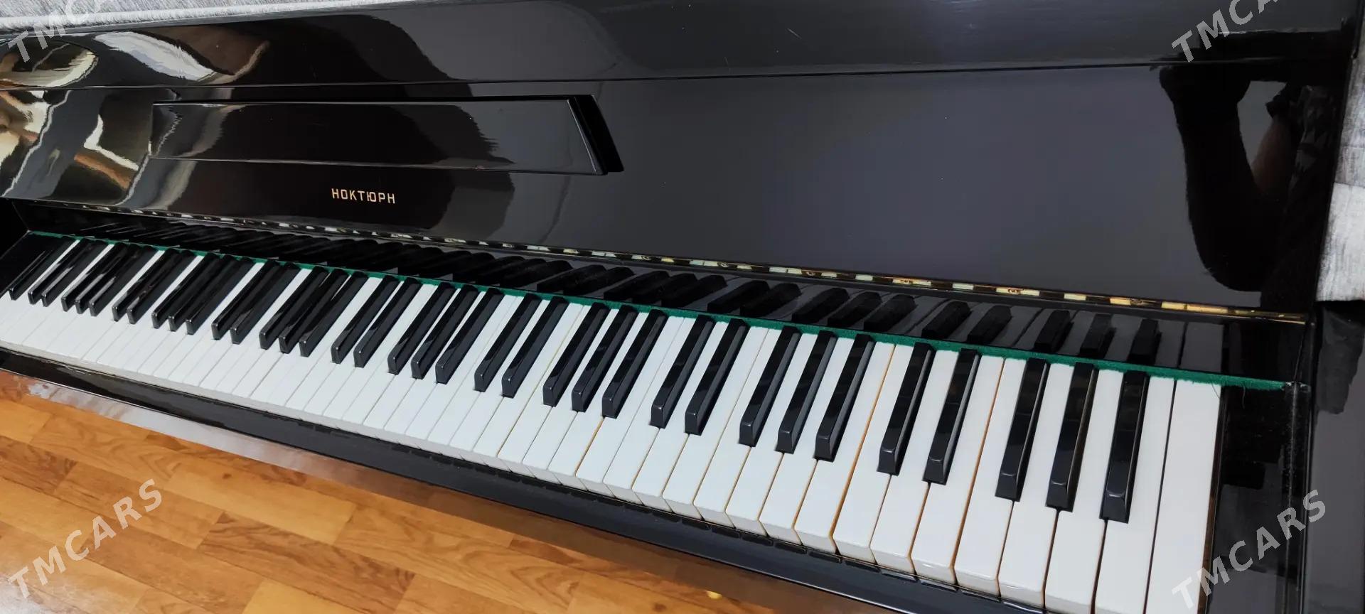 фортопиано российский - Mary - img 4