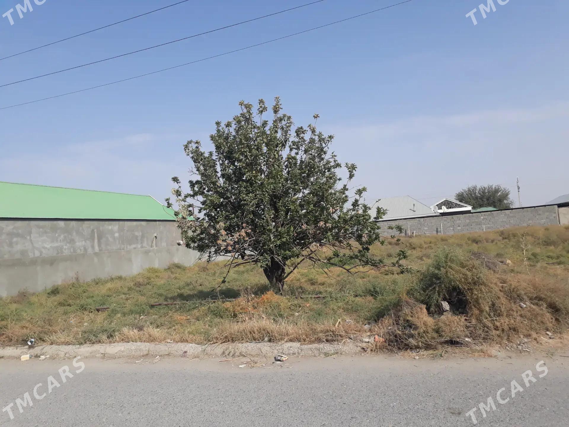 mellek yer - Gökdepe - img 4