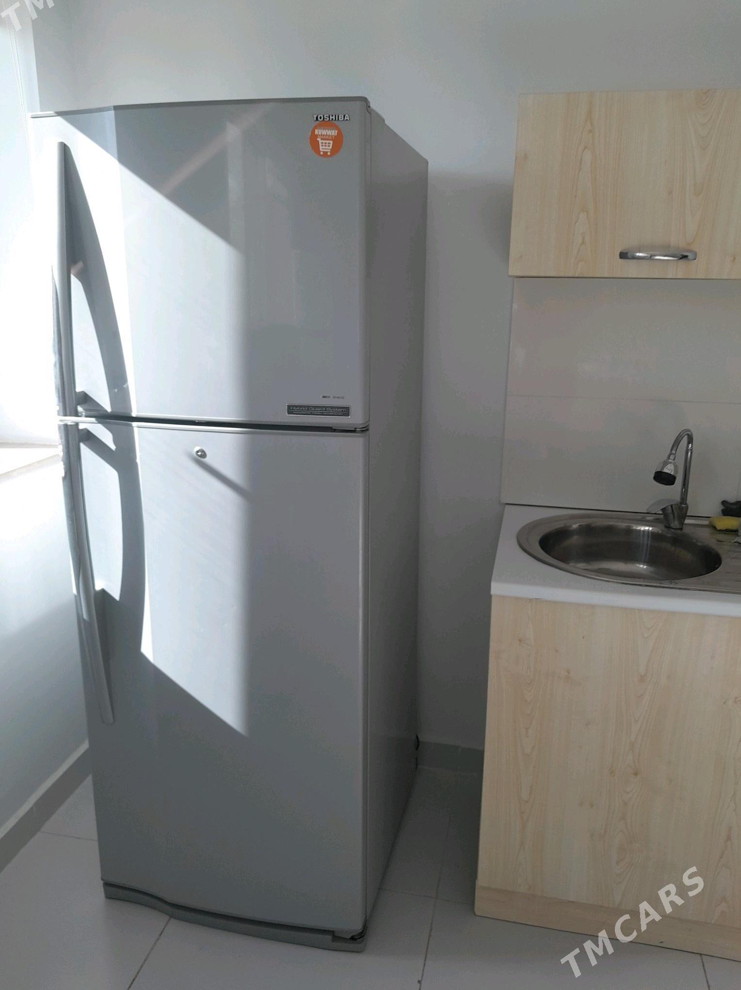 Holodilnik - Аркадаг - img 2