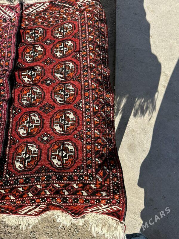 Haly - Balkanabat - img 1