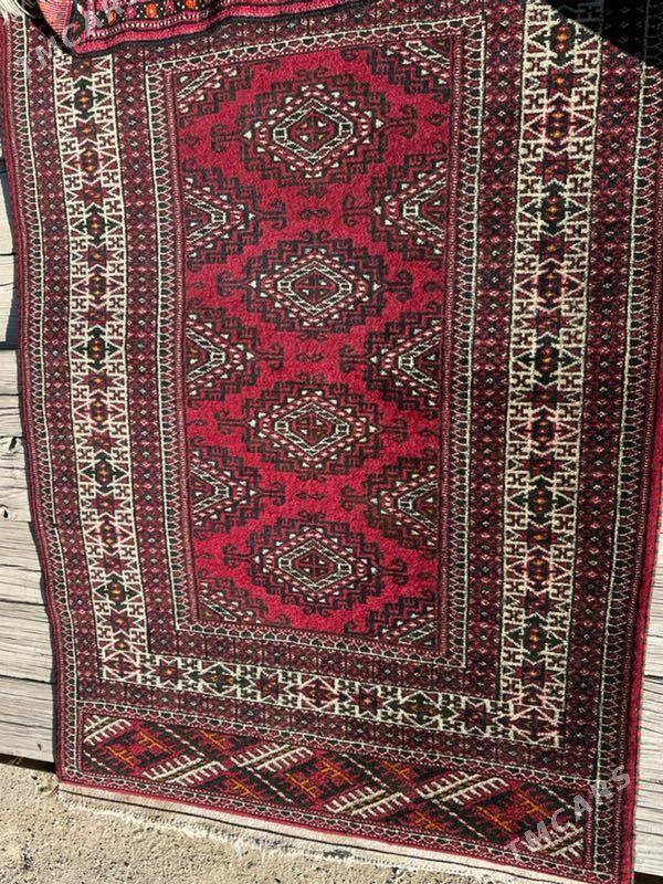 Haly - Balkanabat - img 3