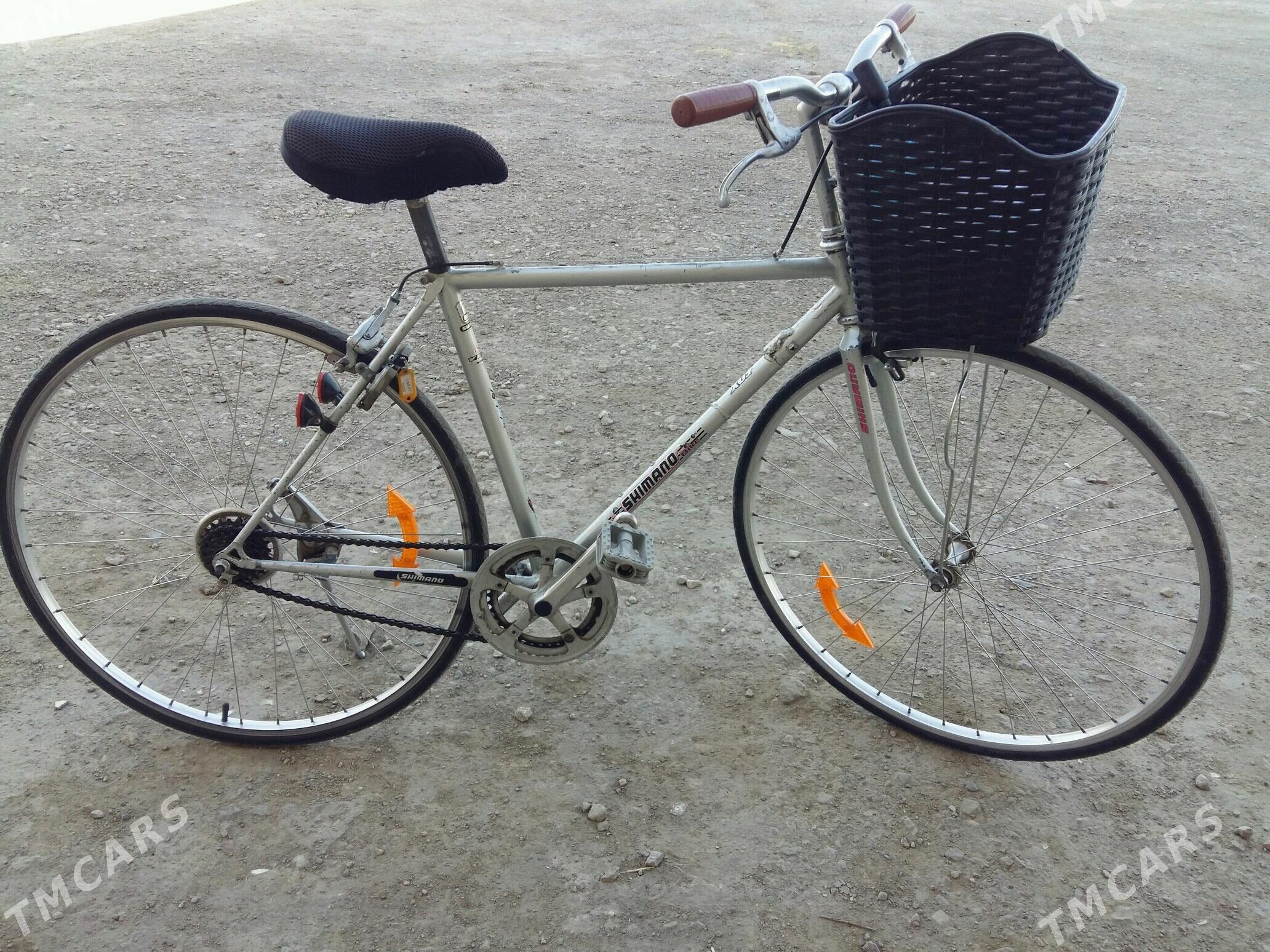 welsapet yaponiski 28 lik - Mary - img 3