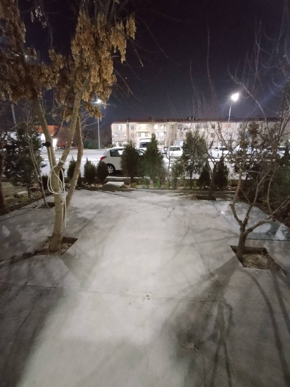 Arenda jay - 10 mkr - img 4