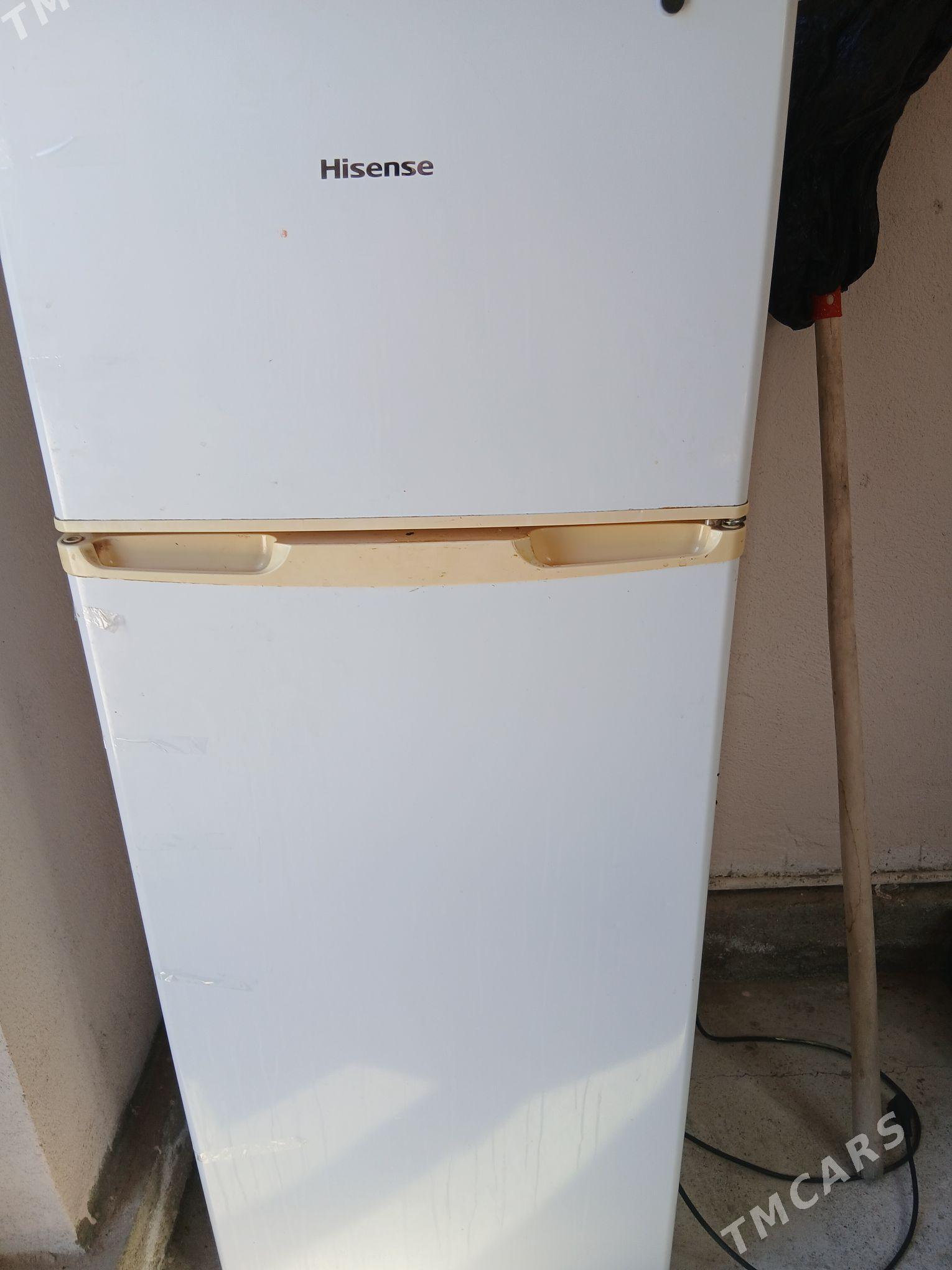 hlandinik - Багир - img 2