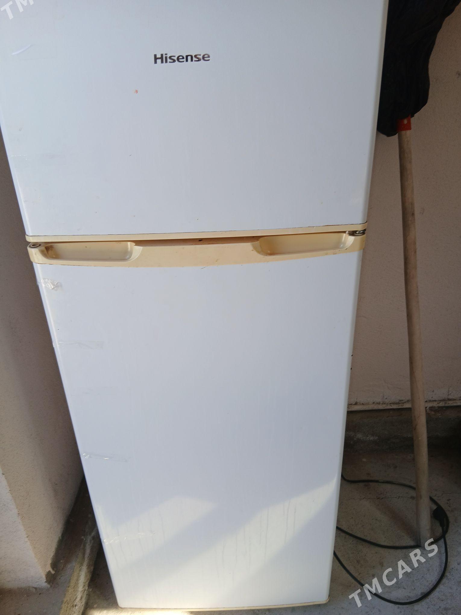 hlandinik - Багир - img 3