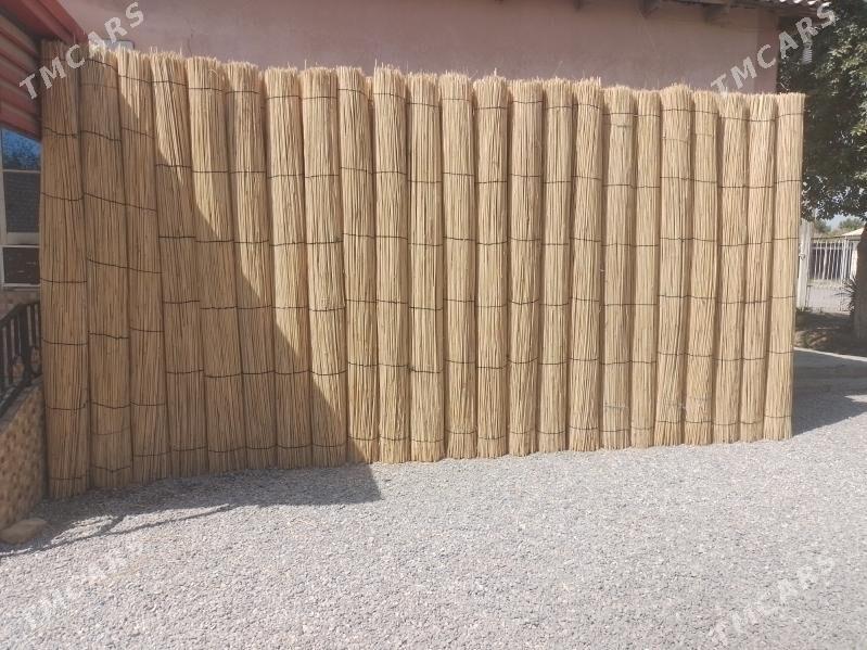 gamyş - Mary - img 1