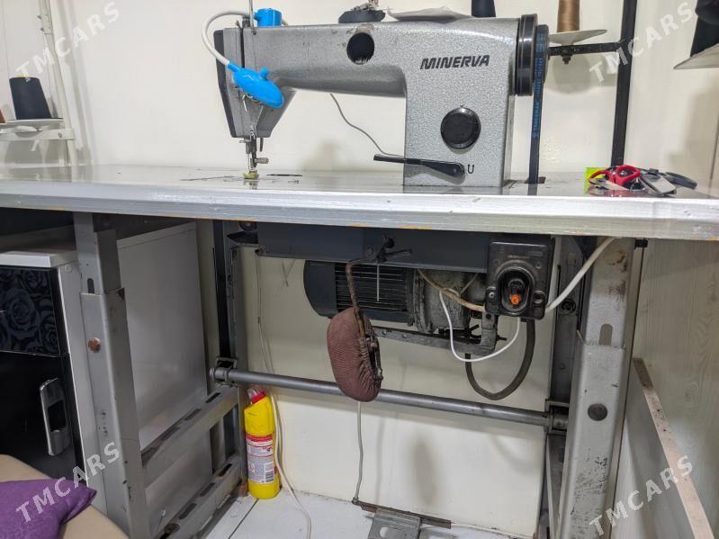 minerva - Туркменабат - img 1