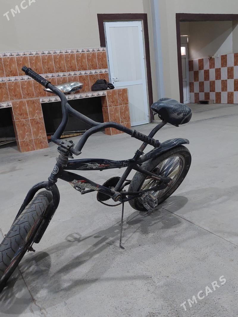 tigir - Ak bugdaý etraby - img 2