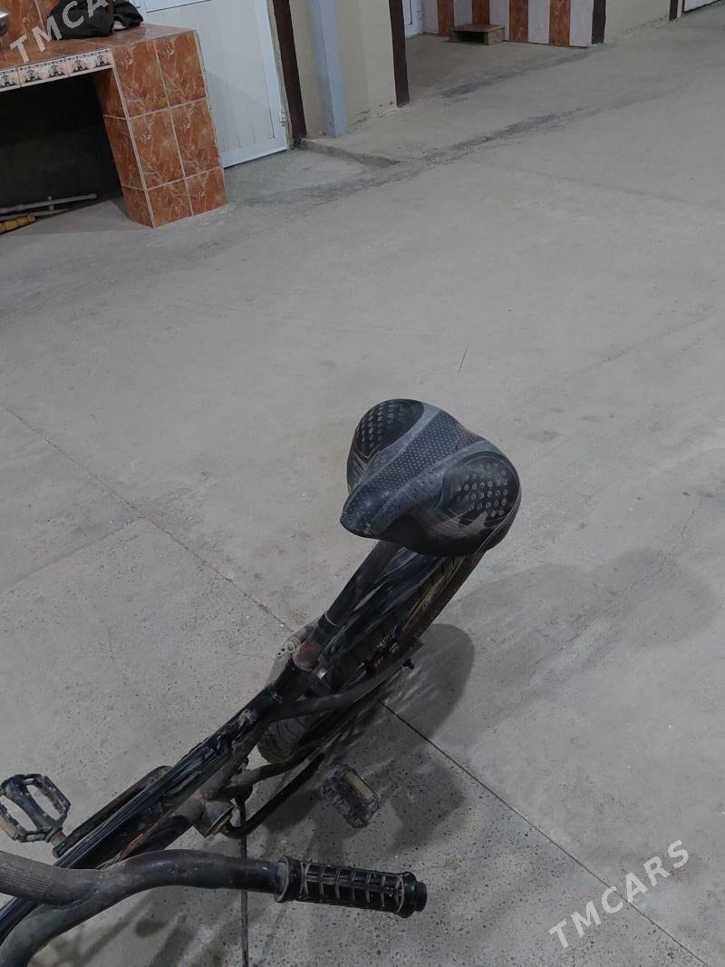 tigir - Ak bugdaý etraby - img 3