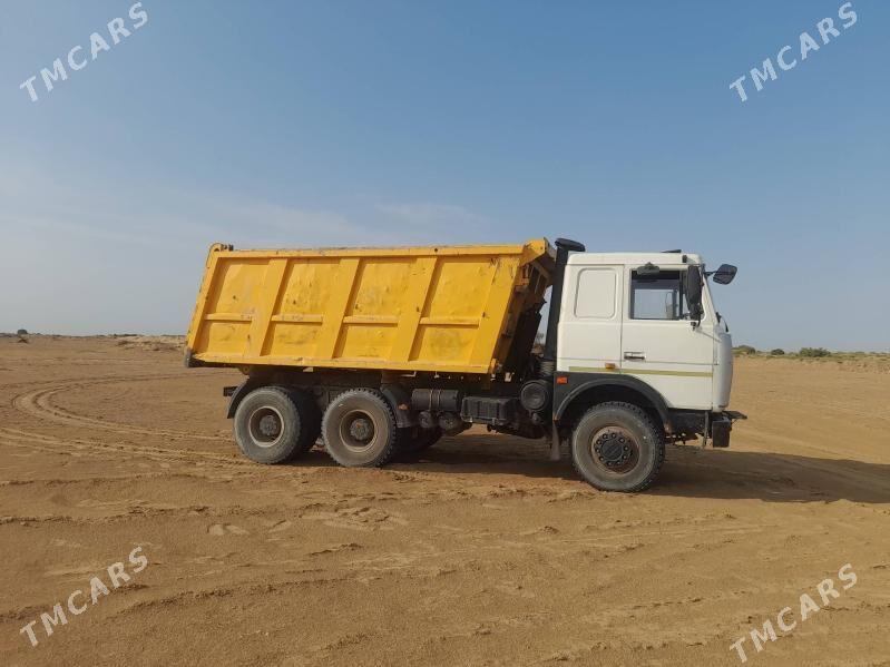 Maz Samosval 2013 - 350 000 TMT - Mary - img 3