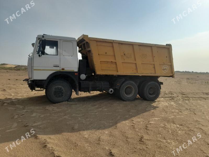 Maz Samosval 2013 - 350 000 TMT - Mary - img 2