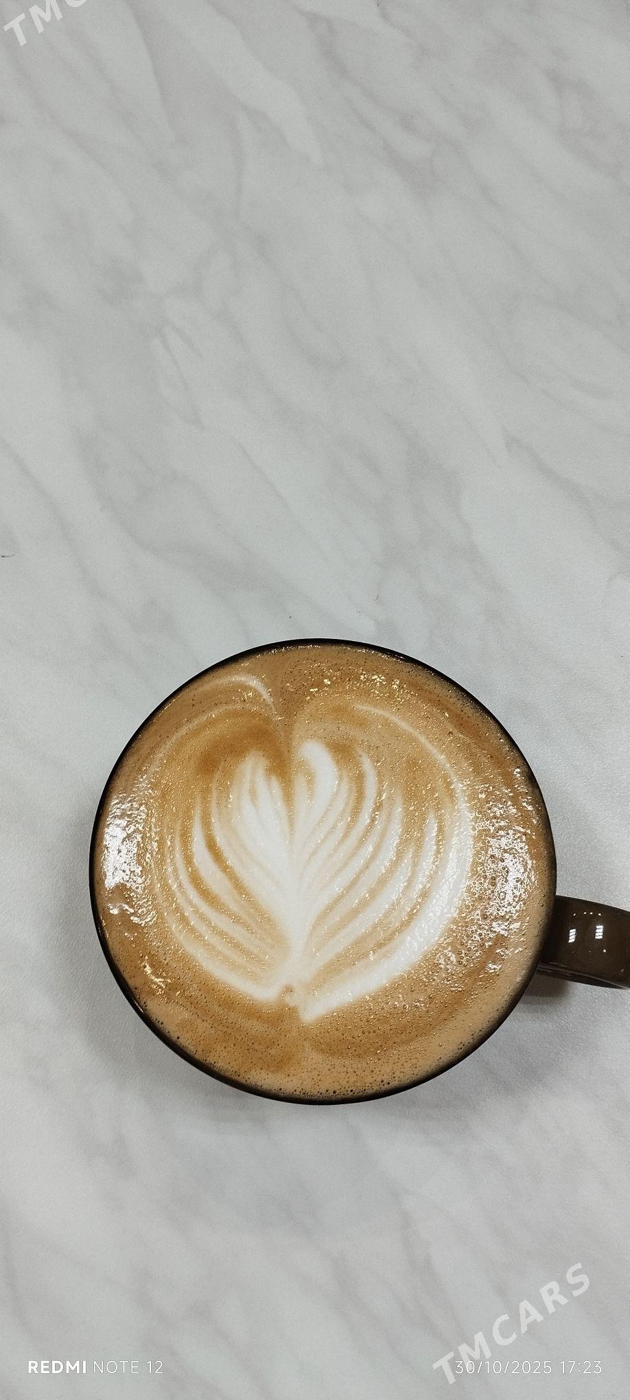 Barista gerek Anew - Анев - img 1