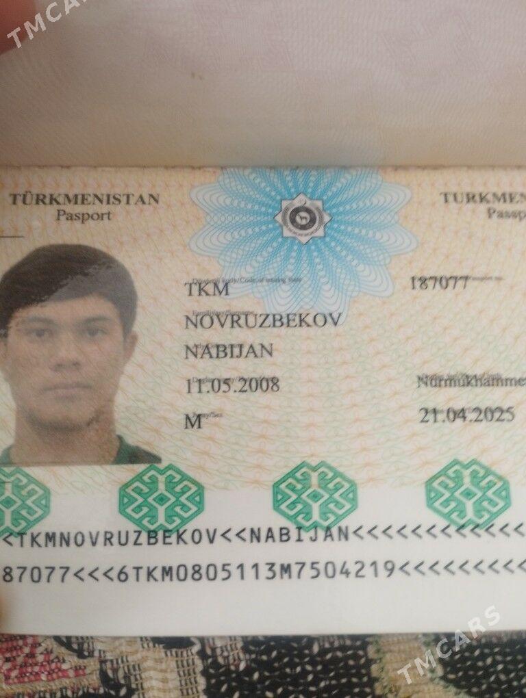 PASPORT - Ak bugdaý etraby - img 1