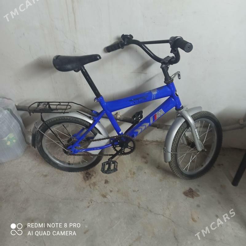 tigir - 10 mkr - img 2