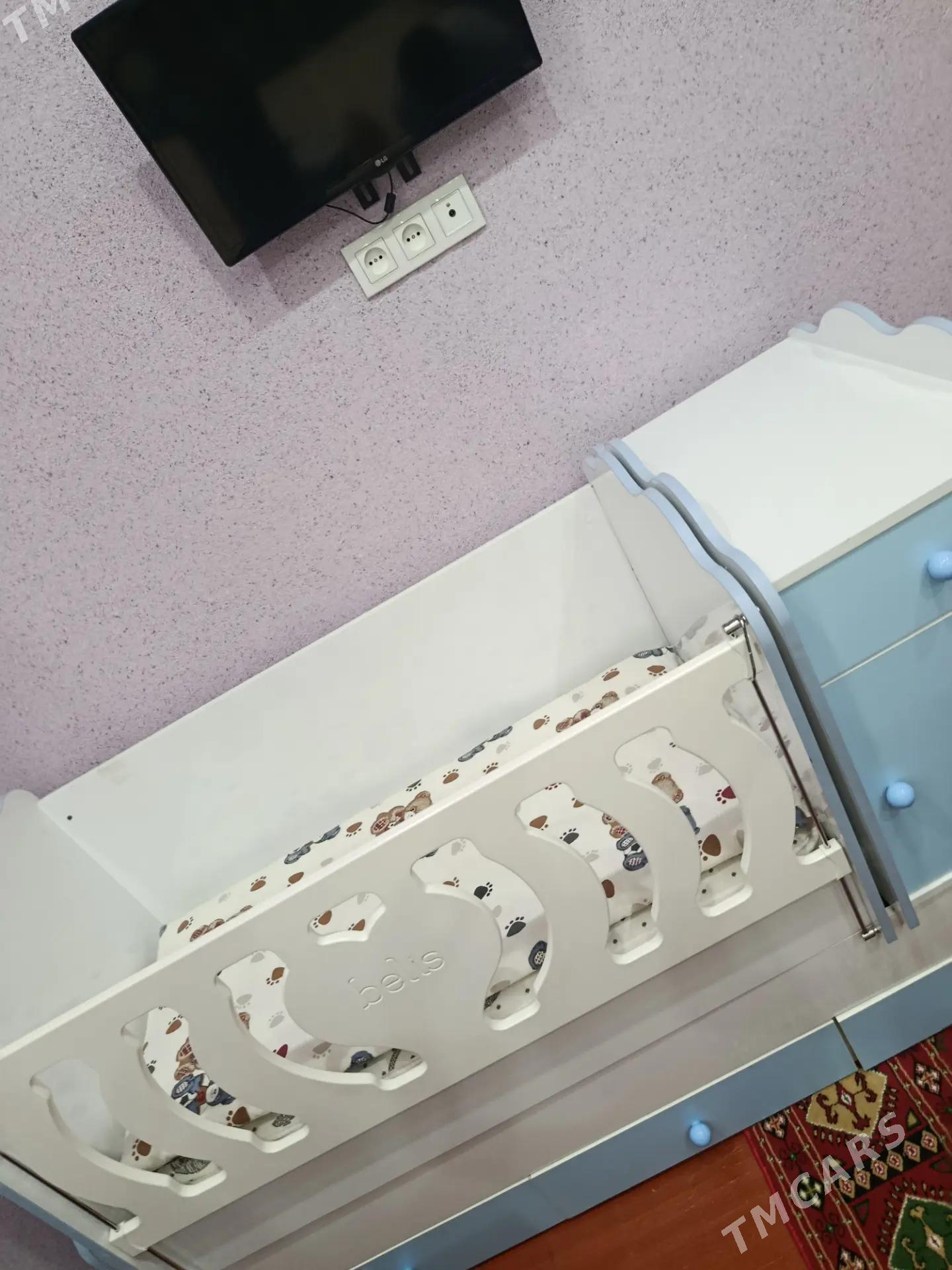 çaga manež - Daşoguz - img 2