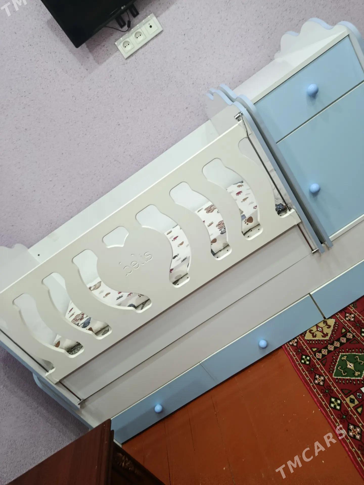 çaga manež - Daşoguz - img 3