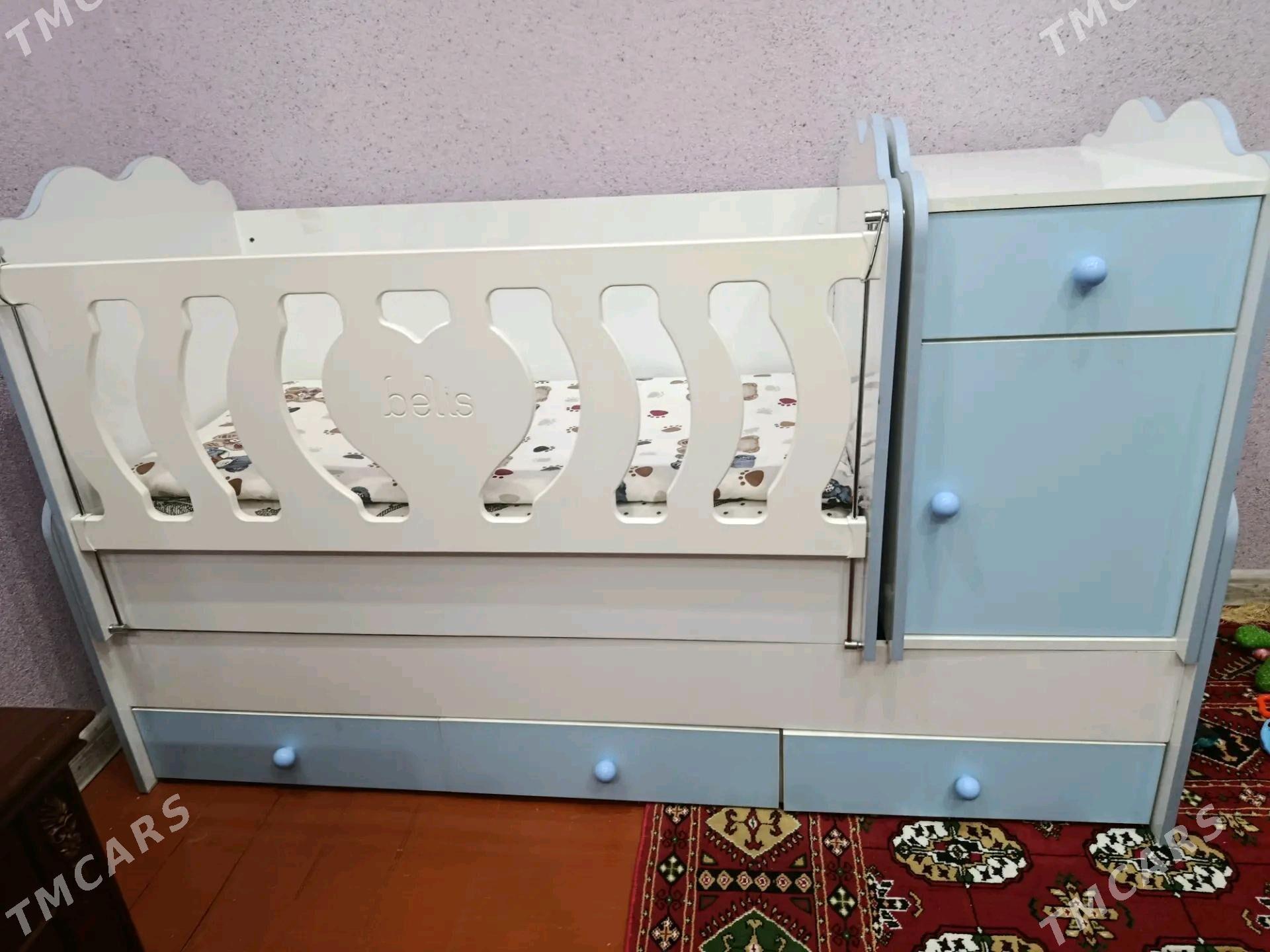 çaga manež - Daşoguz - img 1