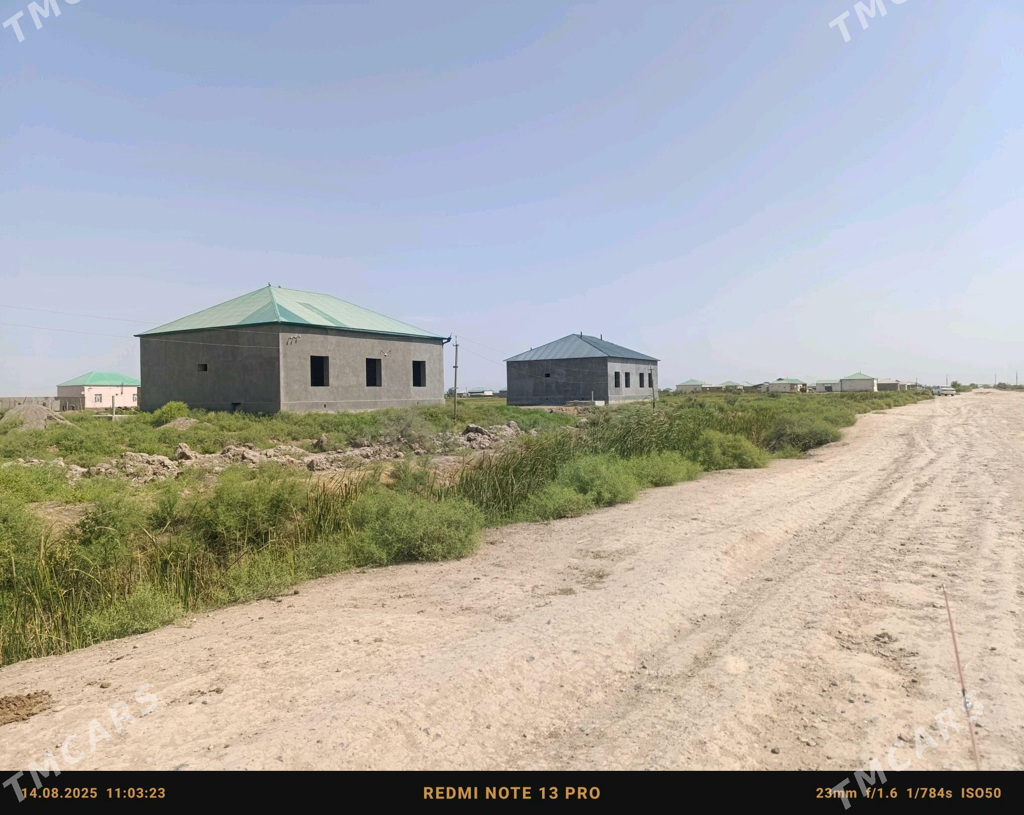 pal jay satlyk - Babadaýhan - img 1