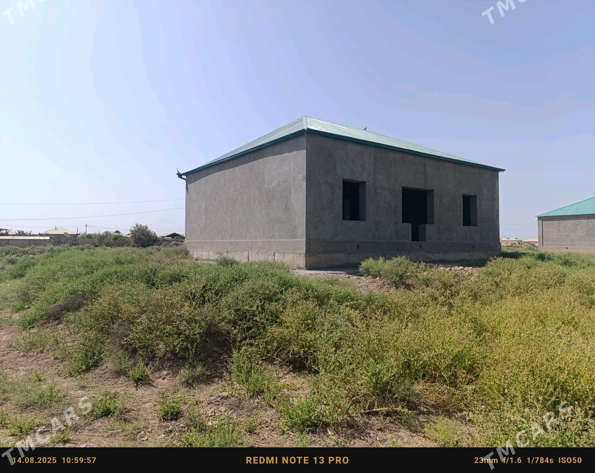 pal jay satlyk - Babadaýhan - img 4