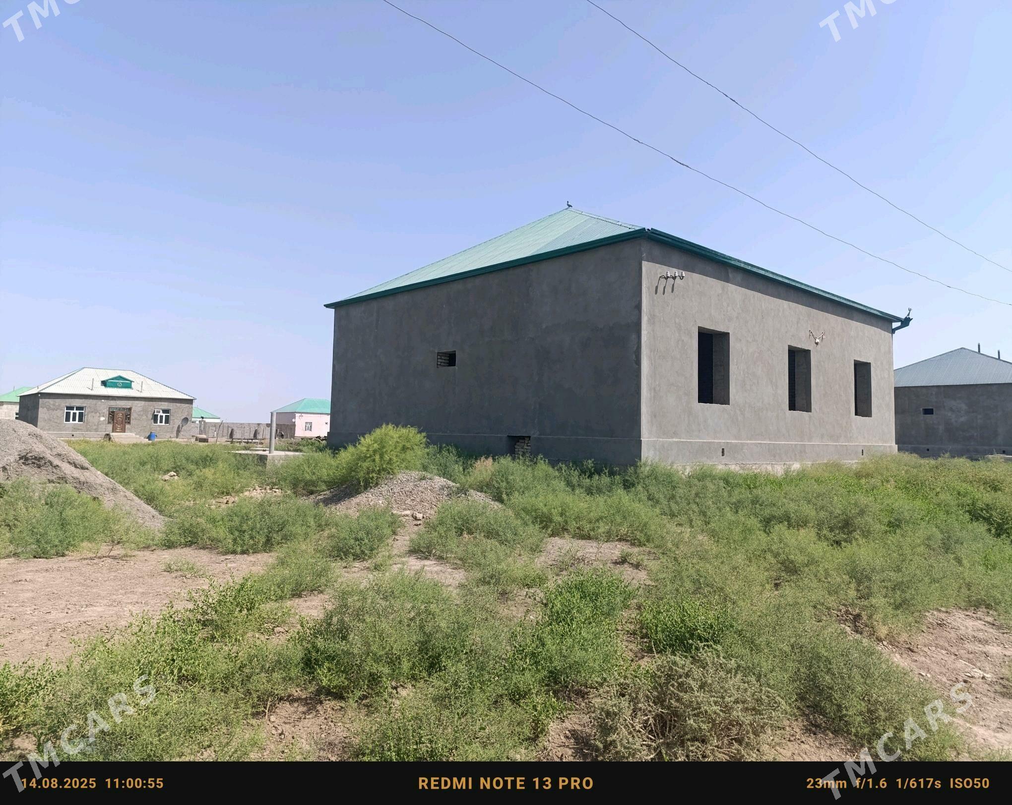 pal jay satlyk - Babadaýhan - img 3