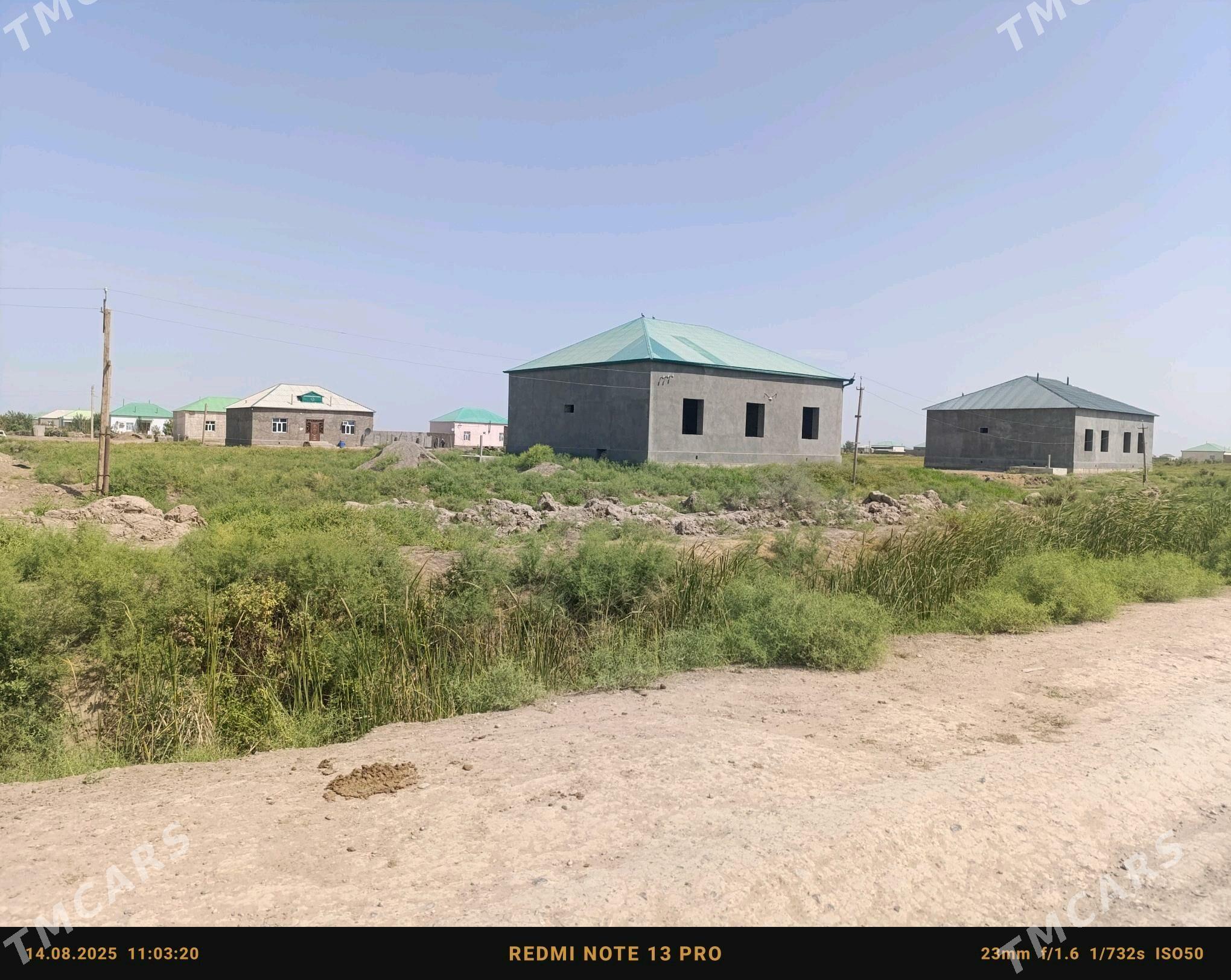 pal jay satlyk - Babadaýhan - img 2