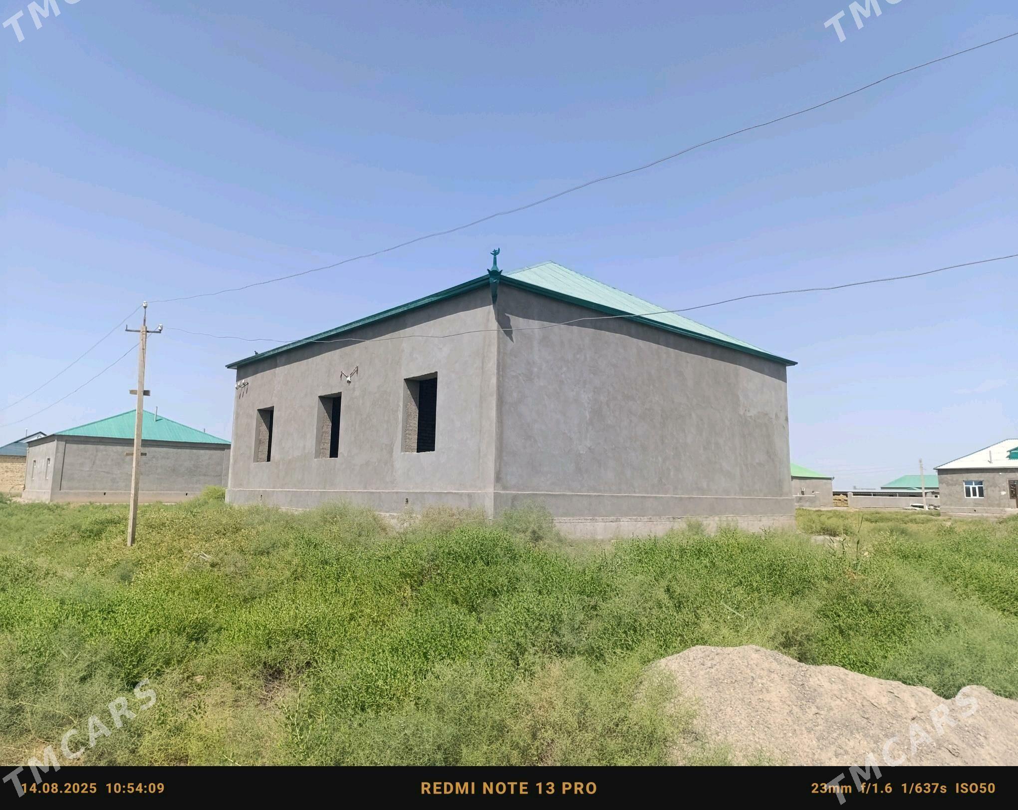 pal jay satlyk - Babadaýhan - img 5