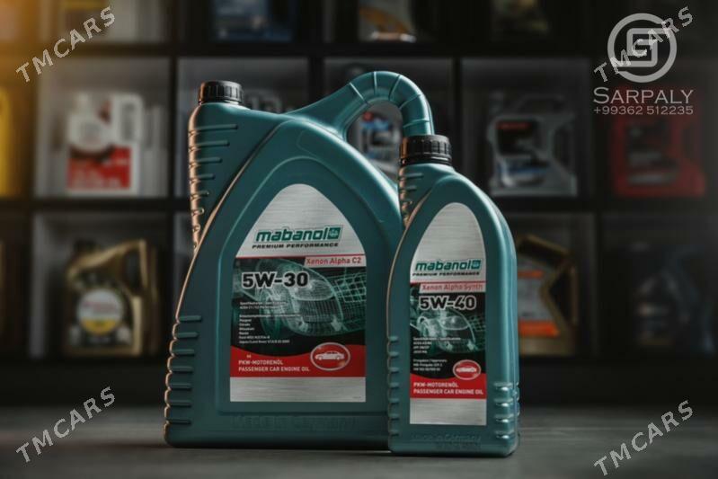 Satyjy - Gökdepe - img 1