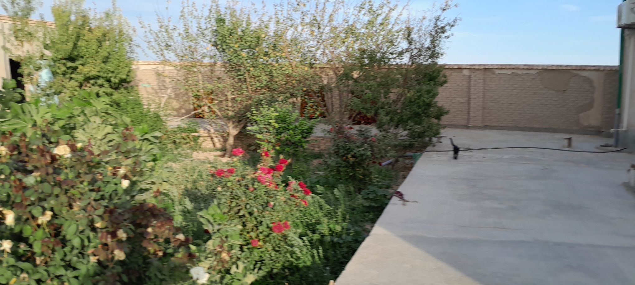 Jay Satylyar - Görogly (Tagta) - img 3