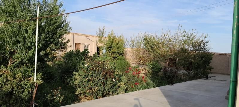 Jay Satylyar - Görogly (Tagta) - img 7