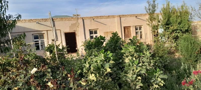 Jay - Дашогуз - img 7