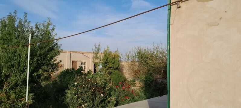 Jay - Дашогуз - img 6