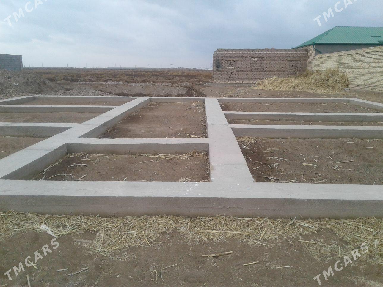 Mellek 12 Sotuk - Görogly (Tagta) - img 6