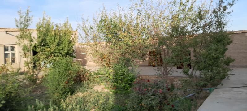 Jay Hususy - Гороглы (Тагта) - img 3