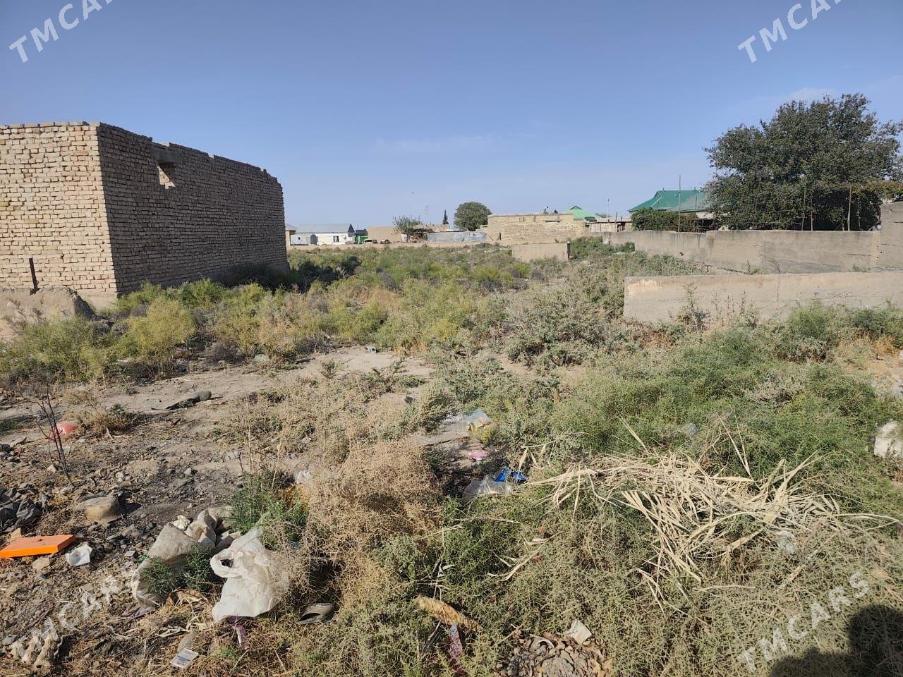 Кахка 3 участка по 10 соток - Кака - img 4