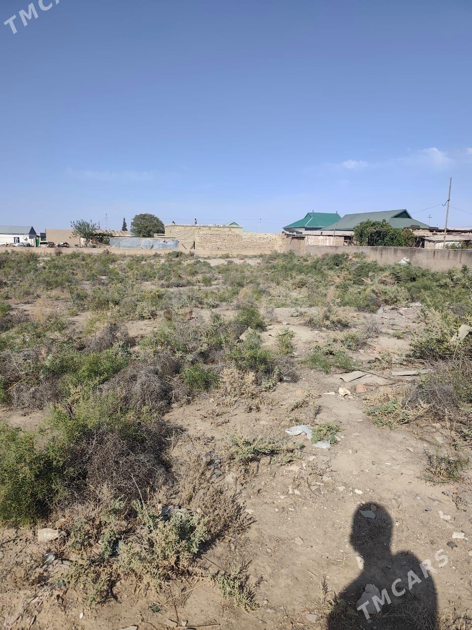 Кахка 3 участка по 10 соток - Кака - img 5